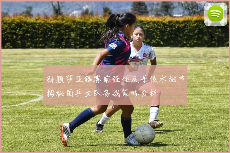 孙颖莎亚锦赛前强化反手技术细节揭秘国乒女队备战策略分析